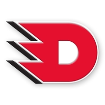 Silikonový magnet logo D